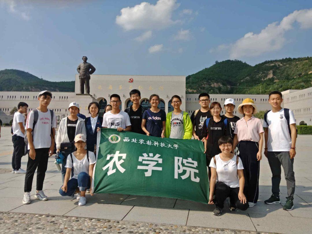 妹妹8岁时,哥哥中考,哥哥应该比妹妹大多少岁?- 机智问答,智慧问答助手